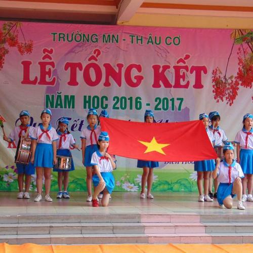 Tổng kết năm học 2016 - 2017